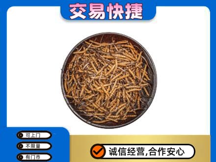 临沧永德县高价回收散虫草